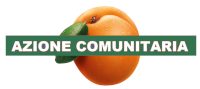 Azione Comunitaria